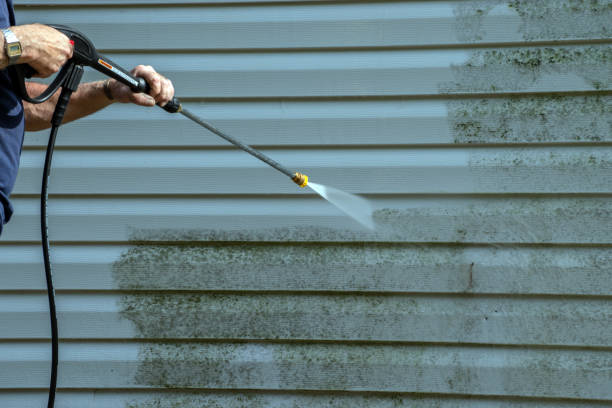 Best Pressure Washing Siding  in Apalachicola, FL